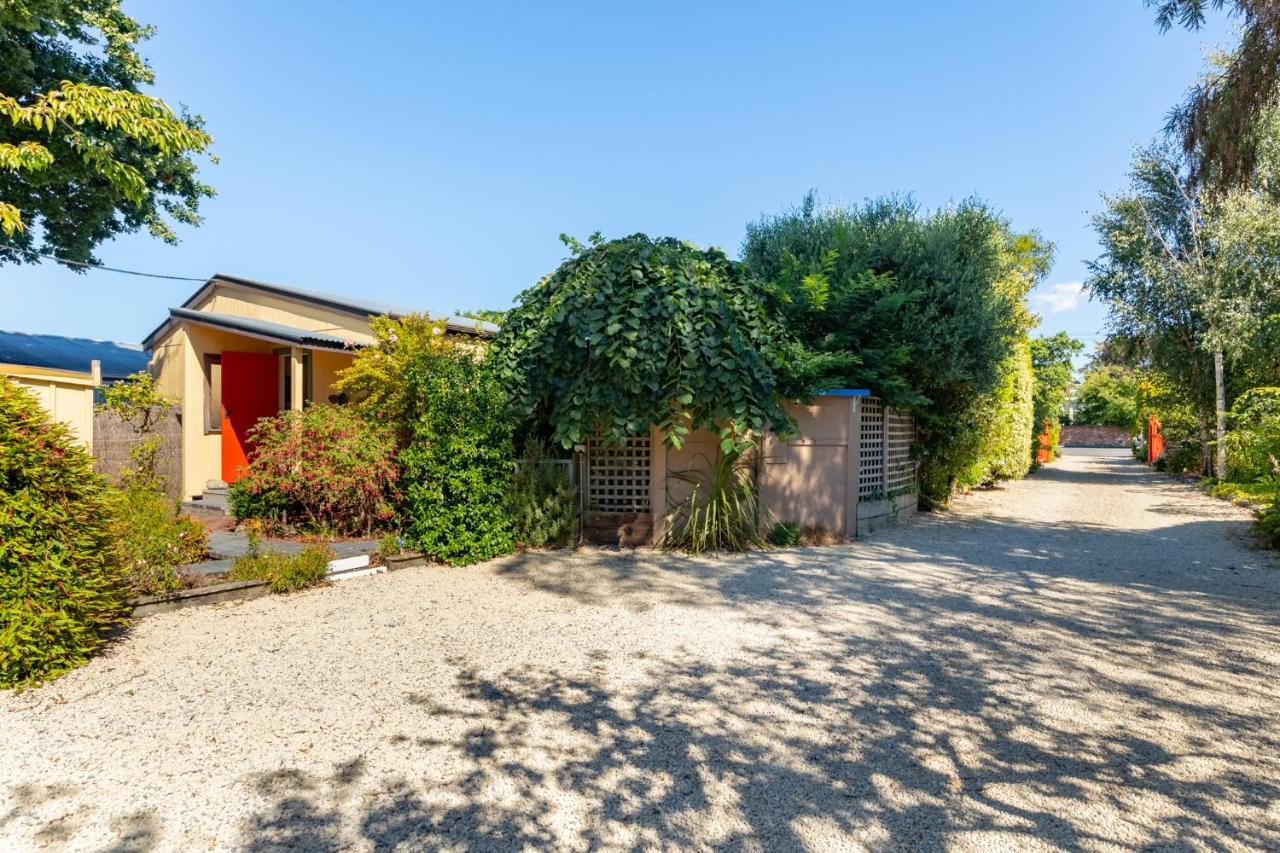 Shy Cottage And Studio Greytown Extérieur photo