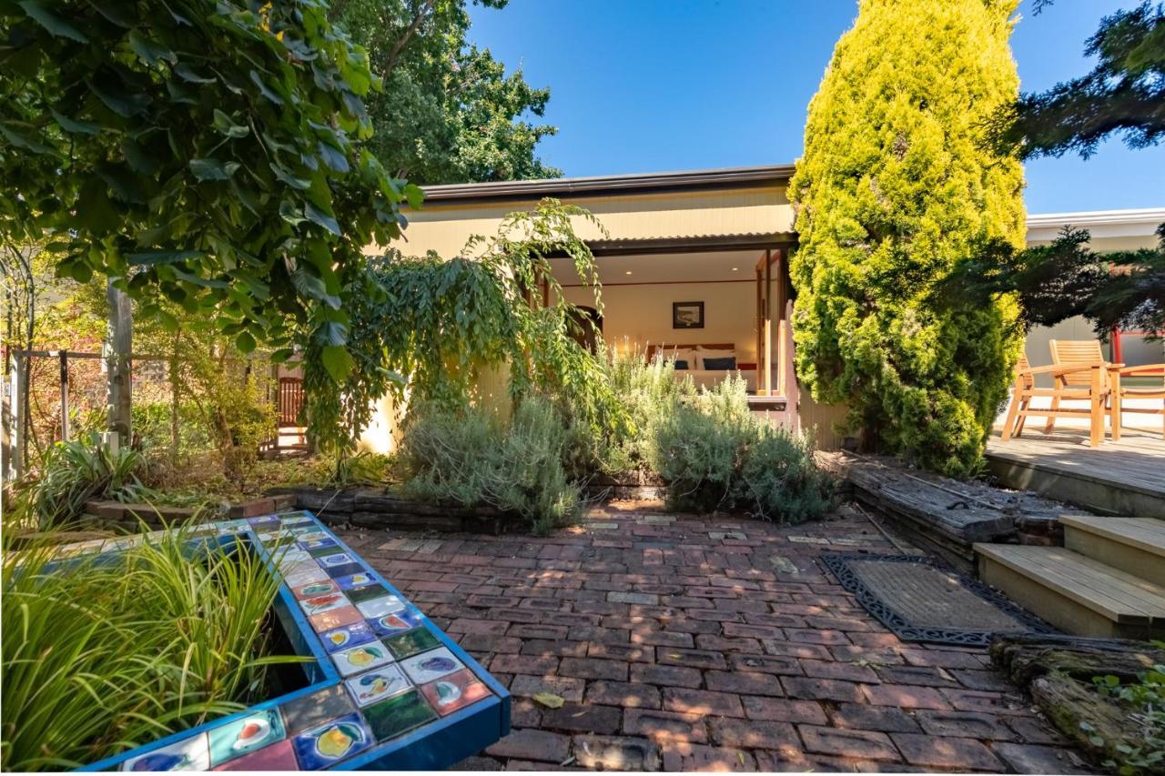 Shy Cottage And Studio Greytown Extérieur photo