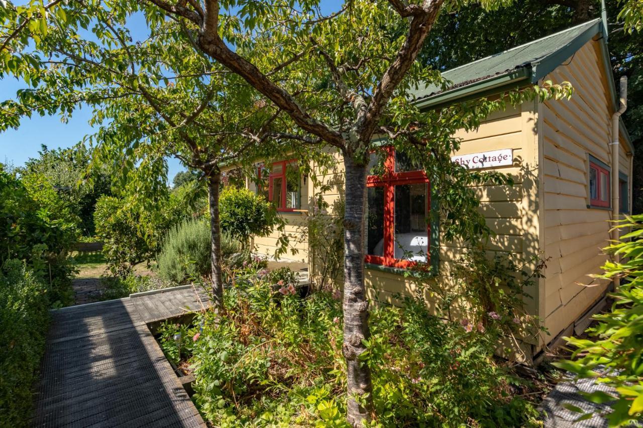 Shy Cottage And Studio Greytown Extérieur photo