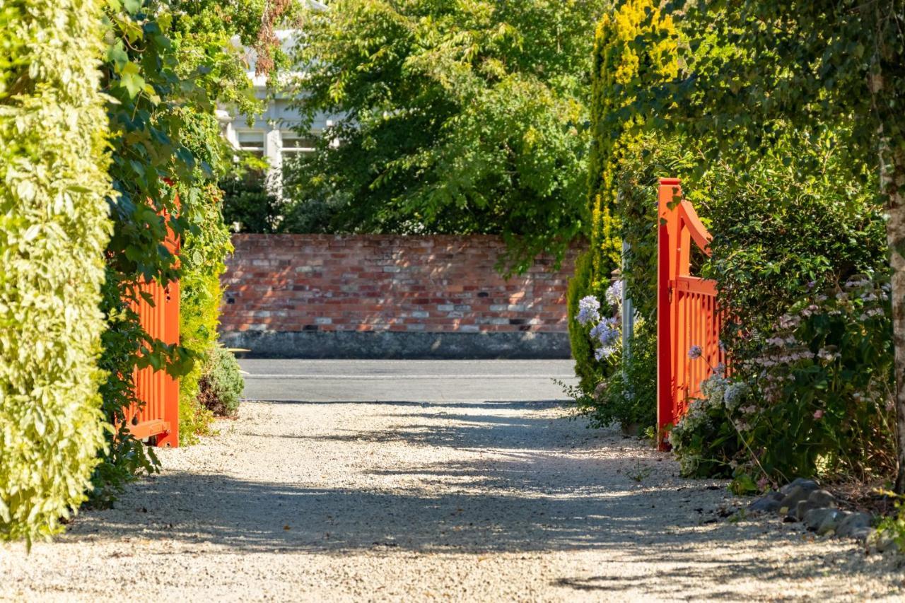 Shy Cottage And Studio Greytown Extérieur photo