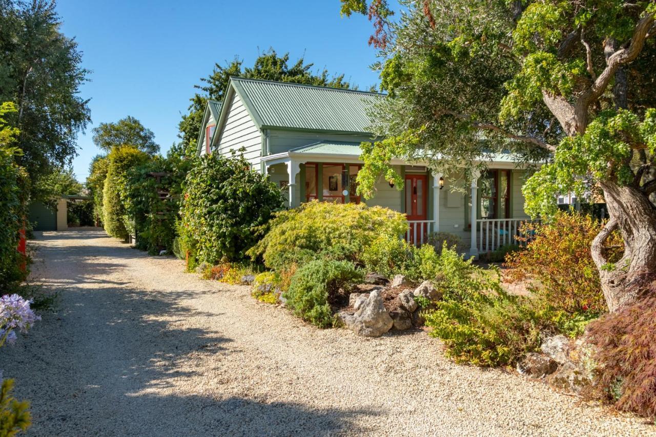 Shy Cottage And Studio Greytown Extérieur photo