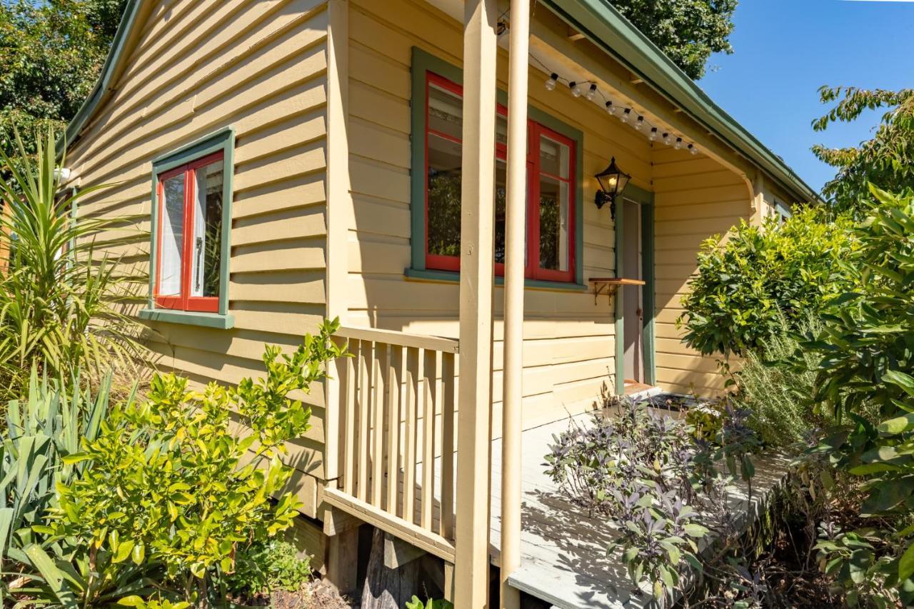 Shy Cottage And Studio Greytown Extérieur photo