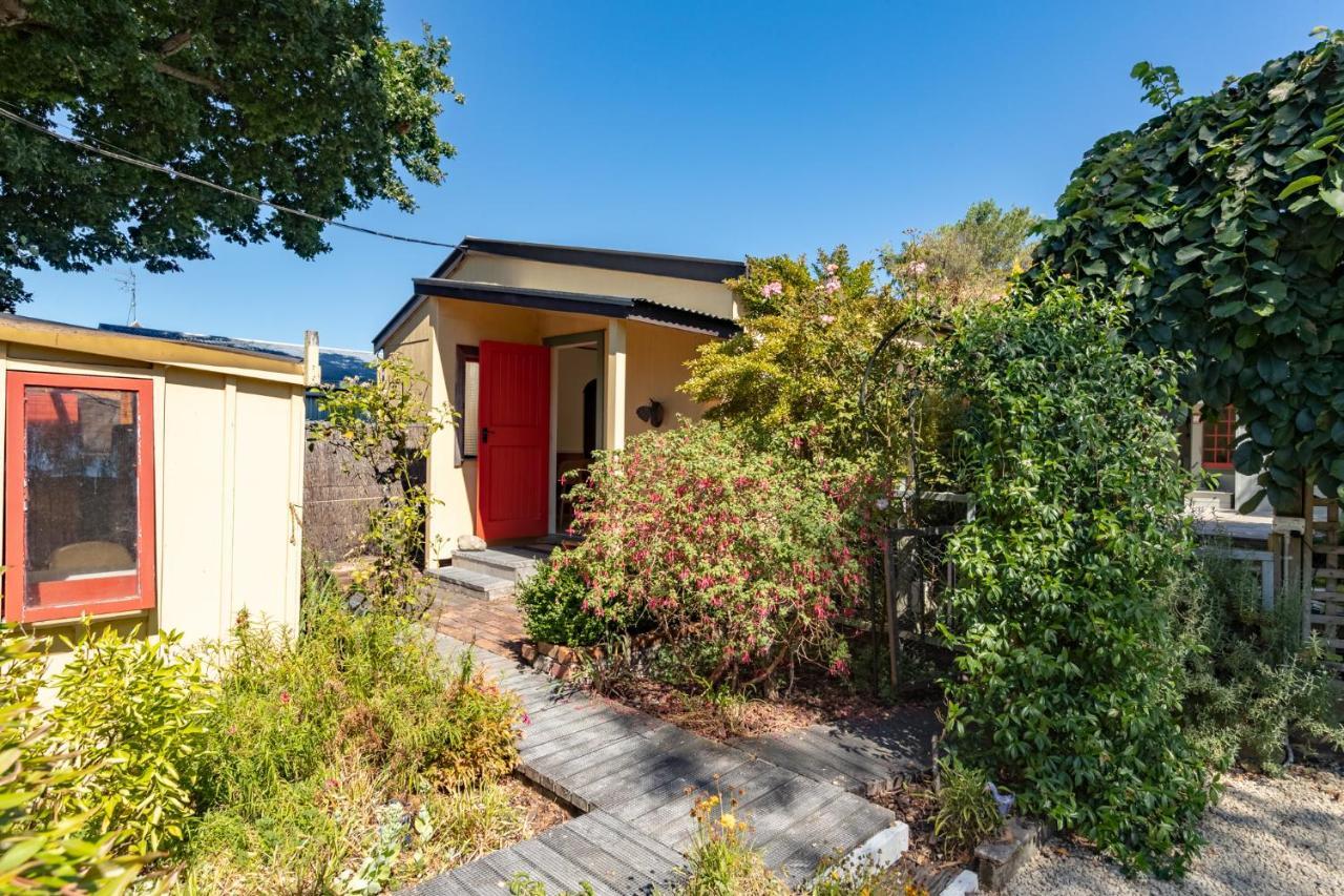 Shy Cottage And Studio Greytown Extérieur photo